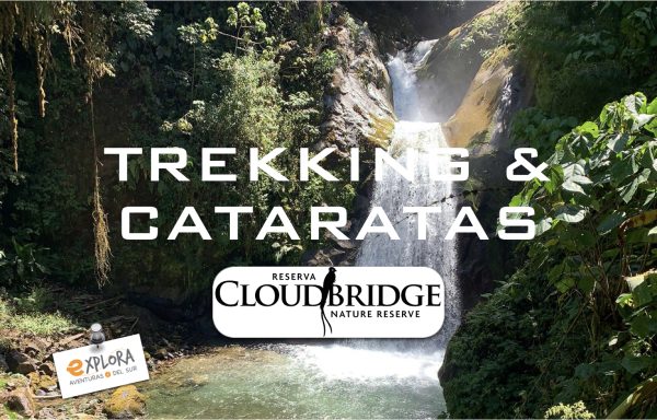 e – TREKKING & CATARATAS – RESERVA CLOUDBRIDGE