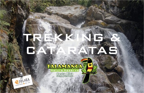 e – TREKKING & CATARATAS – RESERVA TALAMANCA