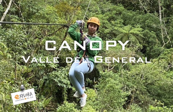 c – CANOPY Valle del General
